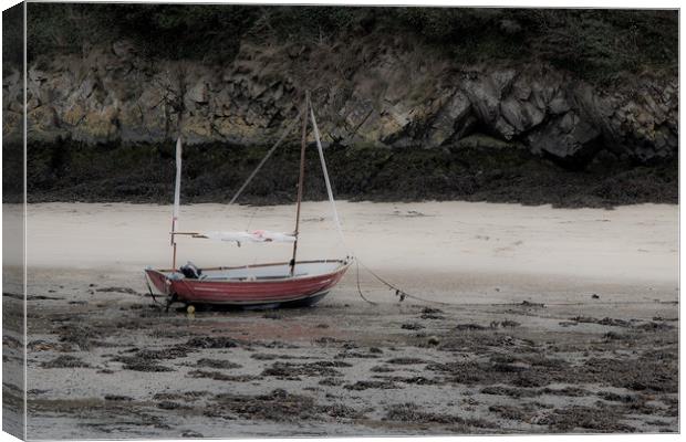 The little boat Canvas Print by David Tanner