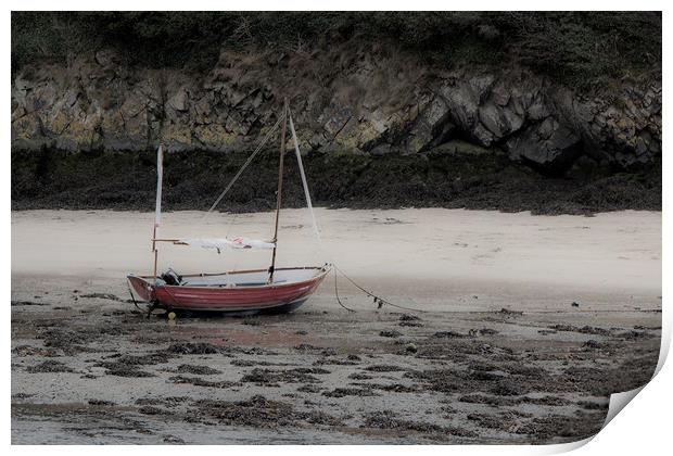 The little boat Print by David Tanner