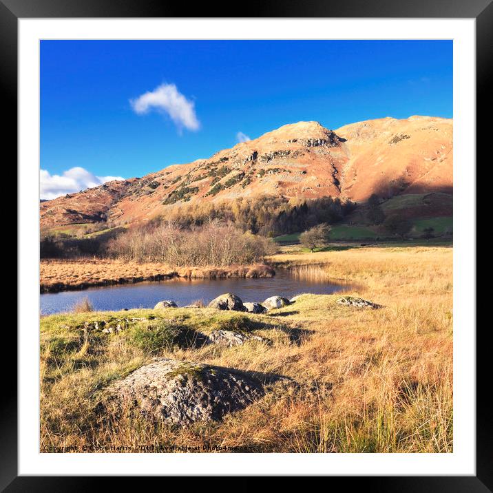 Autumn in Little Langdale Framed Mounted Print by Chris Harris