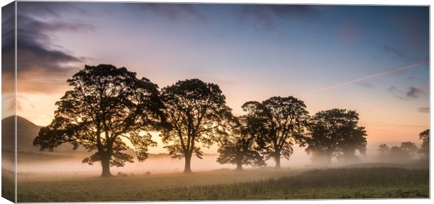 Mist in the Fields at Sunrise Canvas Print by George Robertson