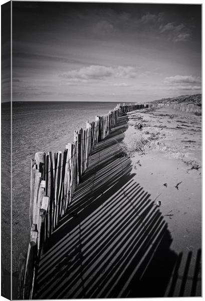 Fenced In Canvas Print by David McCulloch