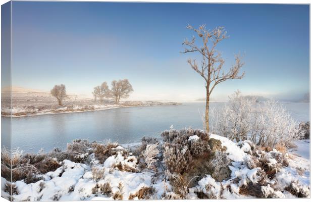 Loch Ba Winter Canvas Print by Grant Glendinning