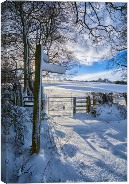 Winter footpath Canvas Print by Clive Ashton