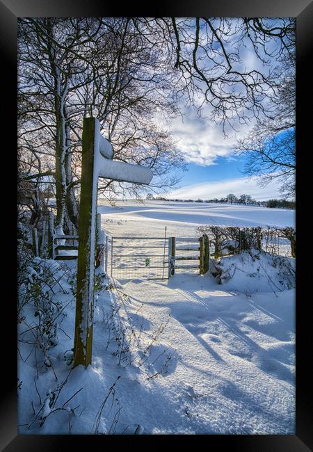 Winter footpath Framed Print by Clive Ashton