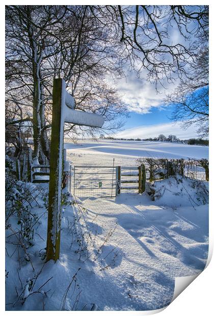 Winter footpath Print by Clive Ashton