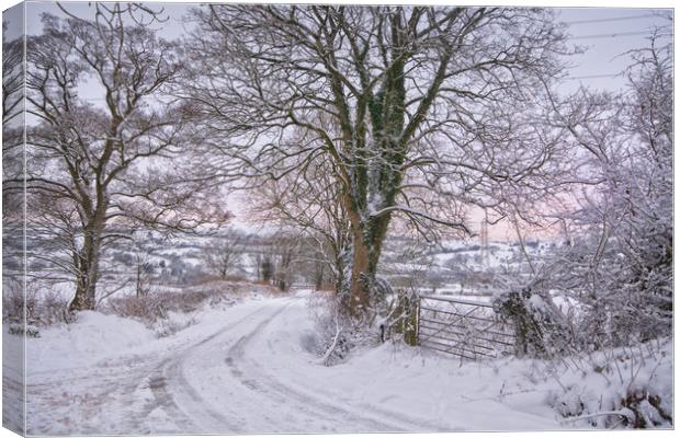 Winter lane Canvas Print by Clive Ashton