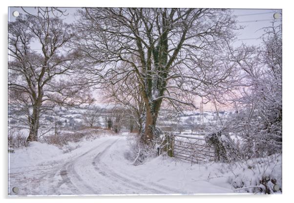 Winter lane Acrylic by Clive Ashton