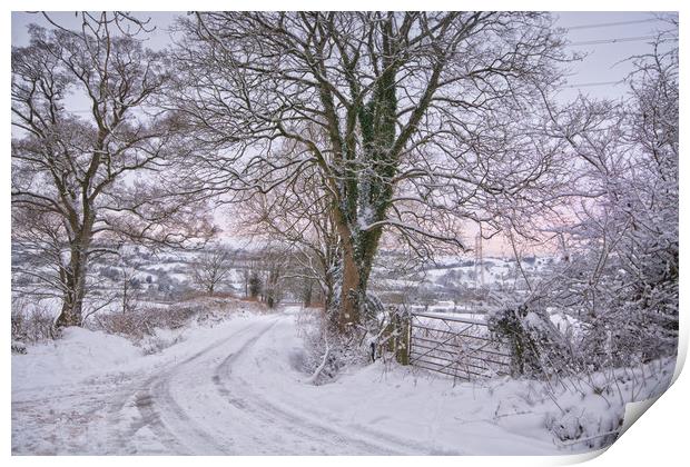 Winter lane Print by Clive Ashton