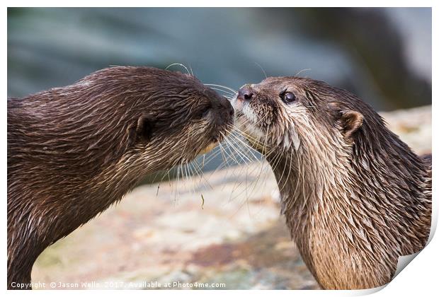 Asian small-clawed otter pair Print by Jason Wells