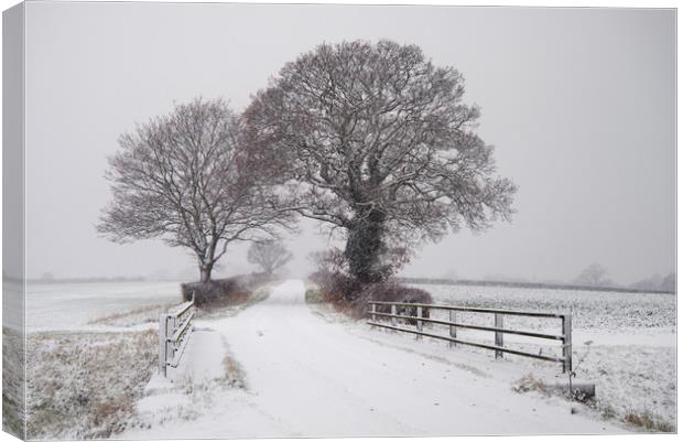 Cook's Lane in Winter Canvas Print by Kevin Hussey