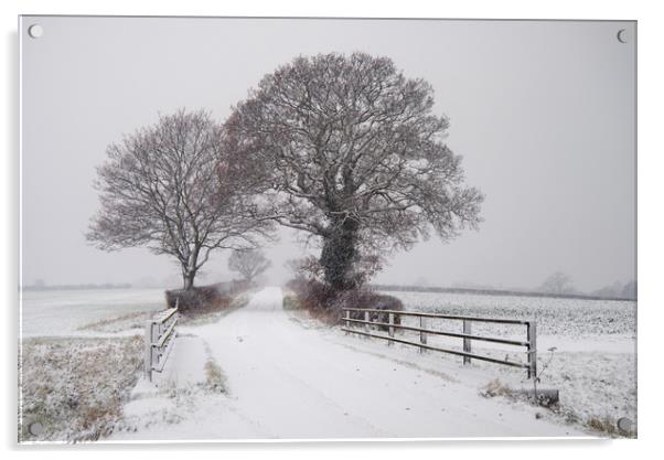 Cook's Lane in Winter Acrylic by Kevin Hussey