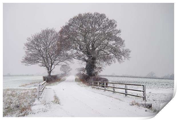 Cook's Lane in Winter Print by Kevin Hussey