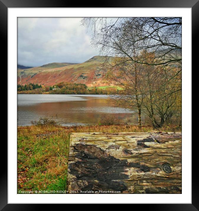 "Log at the lake side" Framed Mounted Print by ROS RIDLEY