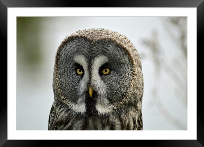 Here’s Looking at You Framed Mounted Print by Alan Hatton