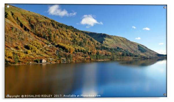 "Autumn sunshine at lake Thirlmere" Acrylic by ROS RIDLEY