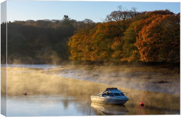 Autumn dawn mooring Coombe Canvas Print by Michael Brookes