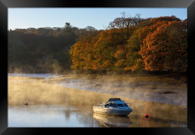 Autumn dawn mooring Coombe Framed Print by Michael Brookes