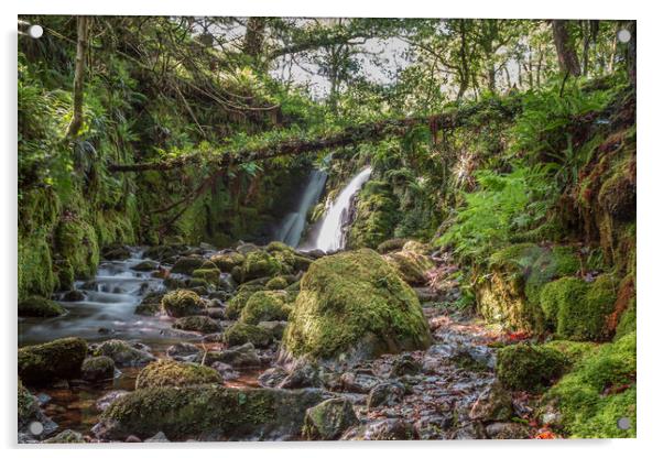 Venford Falls Acrylic by Images of Devon