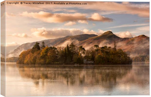 Cat Bells Mist  Canvas Print by Tracey Whitefoot