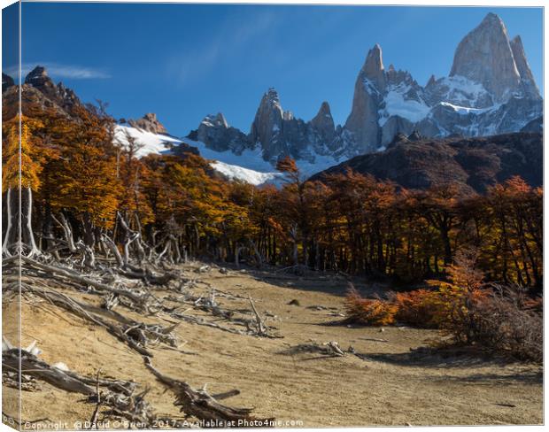 Patagonian Landscape Canvas Print by David O'Brien