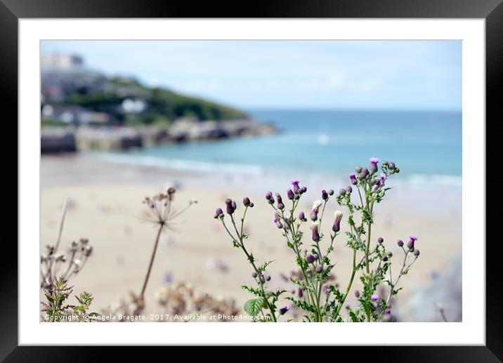 Wild folwers of the seaside Framed Mounted Print by Angela Bragato