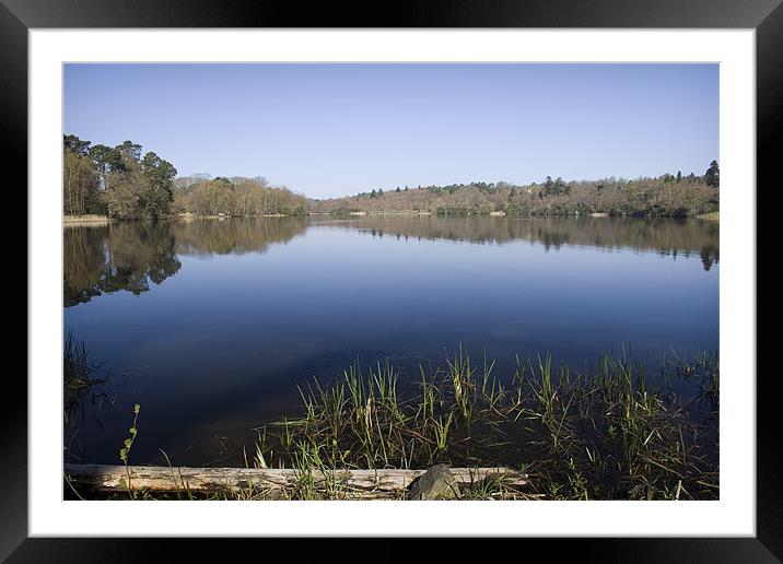 Virginia Water Lakes in Surrey Framed Mounted Print by David Woollands