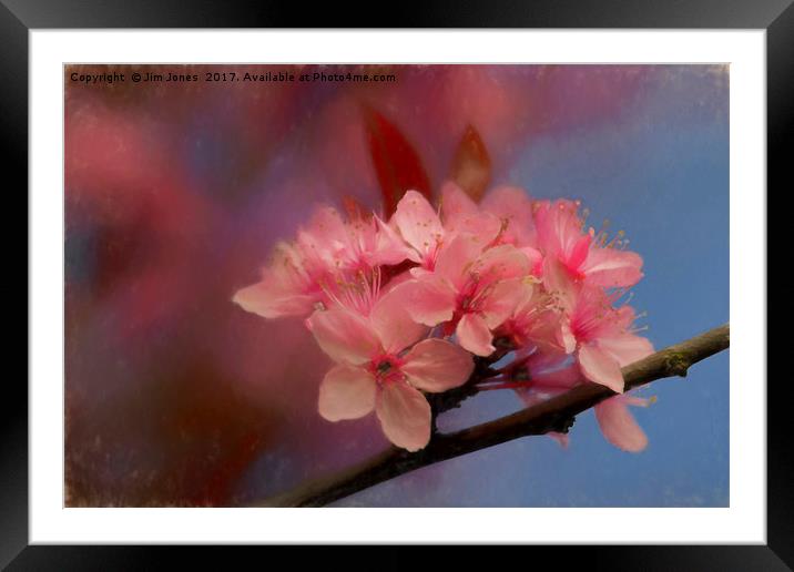 Pink and Blue Framed Mounted Print by Jim Jones