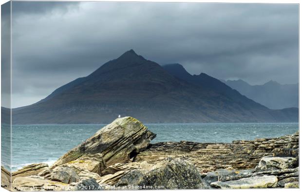 The Black Cuillin Hills from Elgol Skye Canvas Print by Nick Jenkins