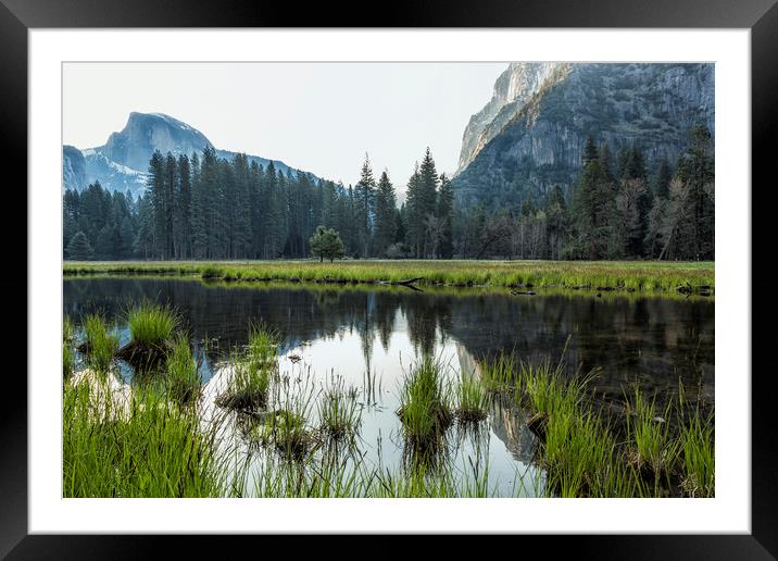 Morning In Cook's Meadow Framed Mounted Print by Belinda Greb