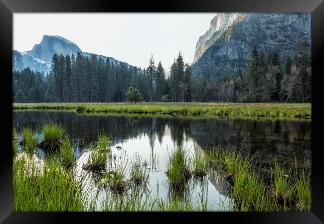 Morning In Cook's Meadow Framed Print by Belinda Greb