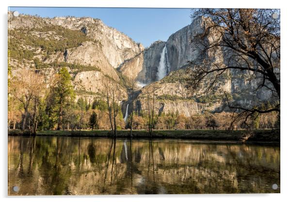 Yosemite Falls on View Acrylic by Belinda Greb