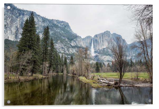 Yosemite Falls Acrylic by Belinda Greb
