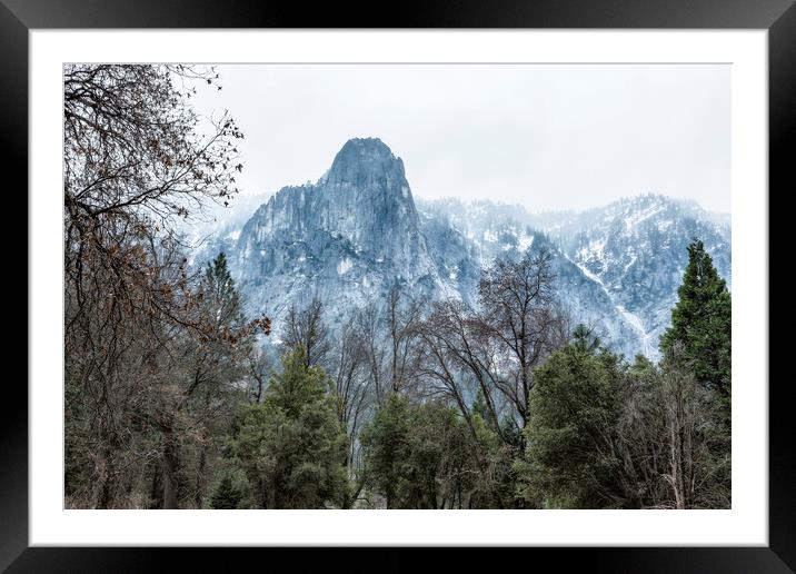 Sentinel Rock, Mist and Trees Framed Mounted Print by Belinda Greb