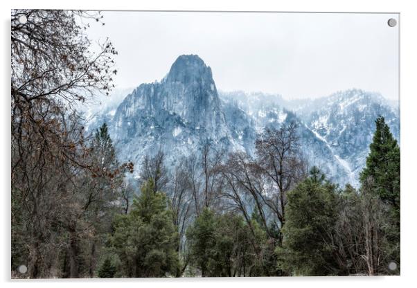 Sentinel Rock, Mist and Trees Acrylic by Belinda Greb