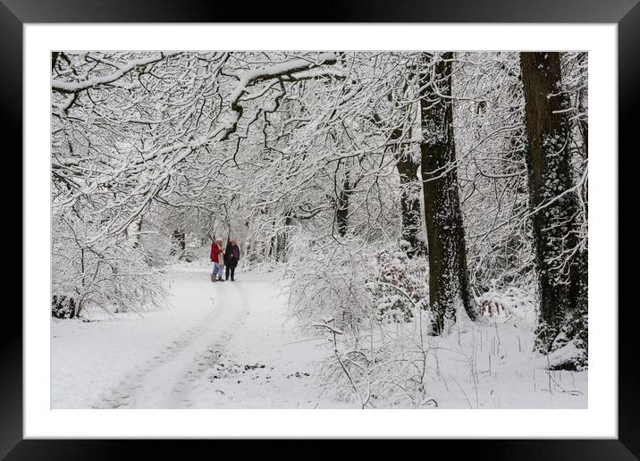 Walkies In The Snow Framed Mounted Print by Steve Purnell