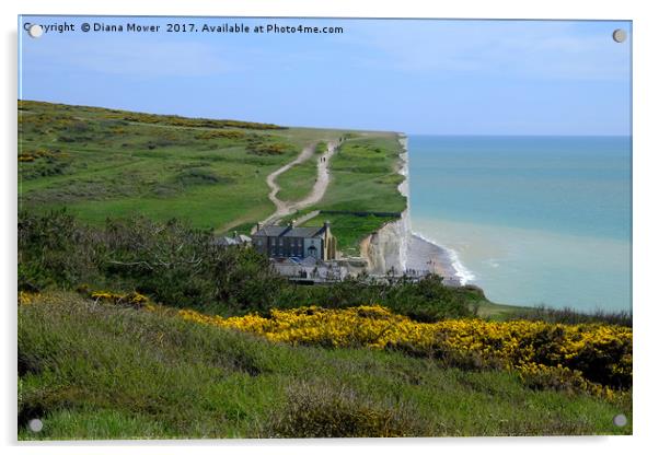 Birling Gap and The Seven Sisters  Acrylic by Diana Mower