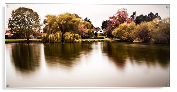 Great Massingham Pond Acrylic by Stephen Mole