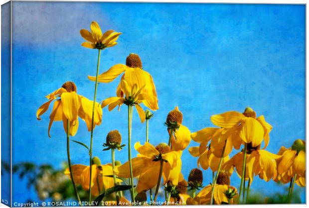 "All things bright and beautiful" Canvas Print by ROS RIDLEY