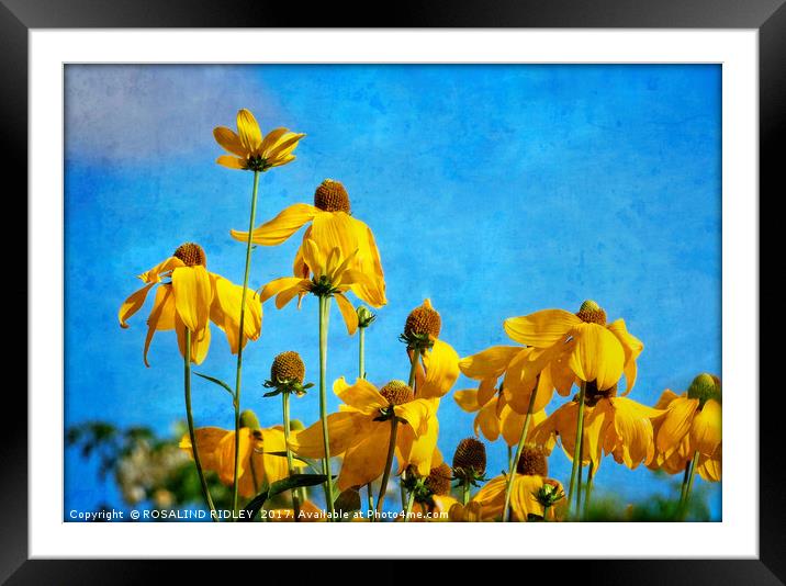 "All things bright and beautiful" Framed Mounted Print by ROS RIDLEY