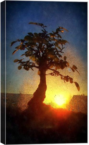 wet sunset Canvas Print by dale rys (LP)