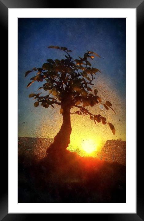 wet sunset Framed Mounted Print by dale rys (LP)