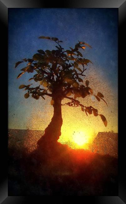 wet sunset Framed Print by dale rys (LP)