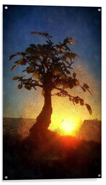 wet sunset Acrylic by dale rys (LP)