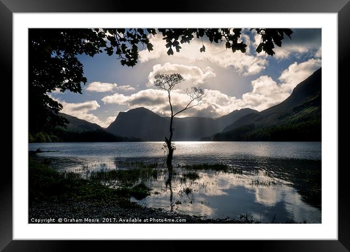 Buttermere tree Framed Mounted Print by Graham Moore