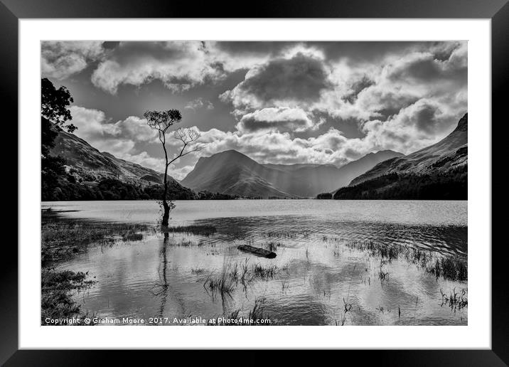 Buttermere tree Framed Mounted Print by Graham Moore