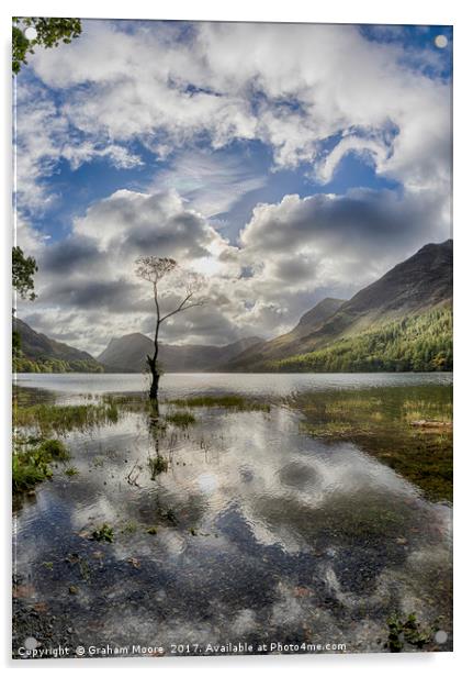 Buttermere tree Acrylic by Graham Moore