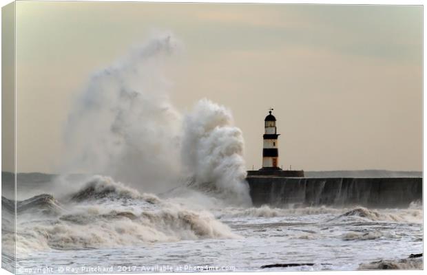 Wave Attack at Seaham Canvas Print by Ray Pritchard
