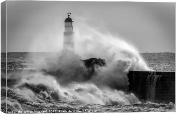 Storm Surge at Seaham Canvas Print by Ray Pritchard