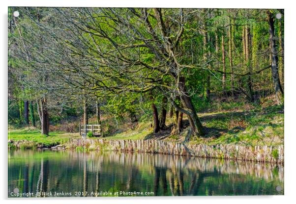 Glyncornel Lake and Park Llwynypia Rhondda Fawr Acrylic by Nick Jenkins