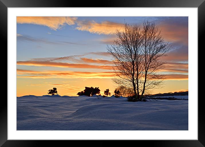 The Setting Sun - Waldridge Fell Country Park. Framed Mounted Print by David Lewins (LRPS)